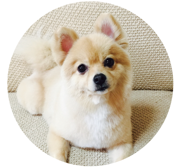 もこ