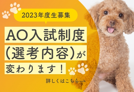 ＡＯ入試制度（選考内容）が変わります！