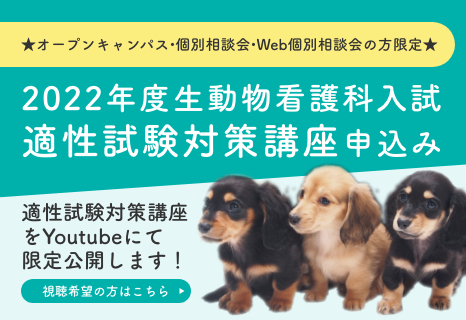 動物看護科適性試験