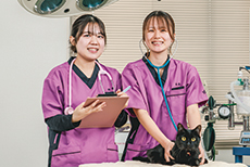 動物看護科