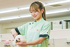 ペット総合科トリマーコース