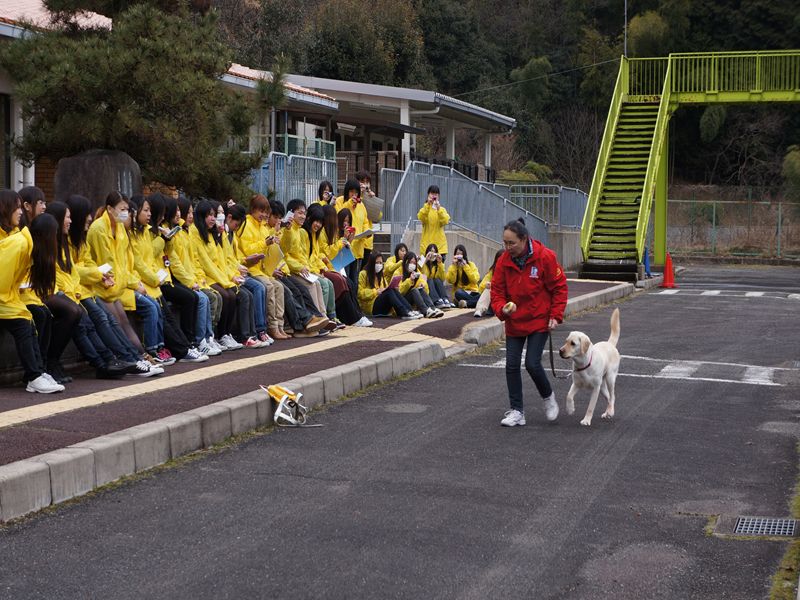 関西盲導犬センターへ研修に行ってきました！｜動物の専門学校 YIC京都ペット総合専門学校