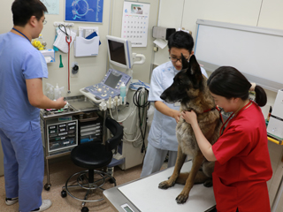 公益社団法人京都市獣医師会に加盟の動物病院様2