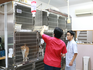 公益社団法人京都市獣医師会に加盟の動物病院様3