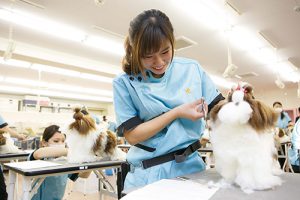 トリマーのお仕事 動物の専門学校 Yic京都ペット総合専門学校