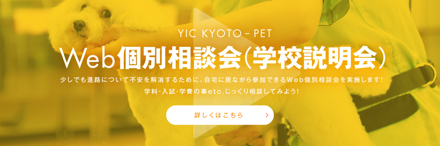 Web個別相談会(学校説明会)