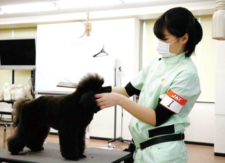 JKC公認 トリマー試験いろんな犬種の実習