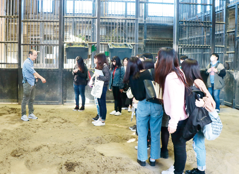 京都市動物園