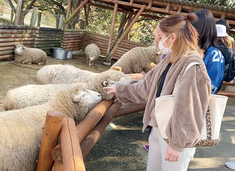 野生動物学