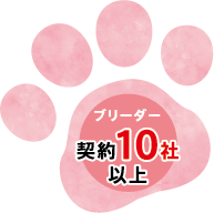 ブリーダー 契約10社以上