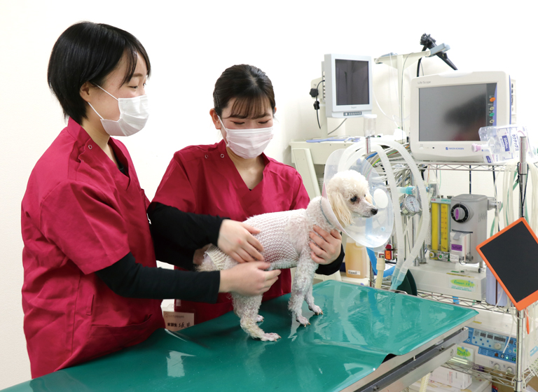 たかやま動物病院