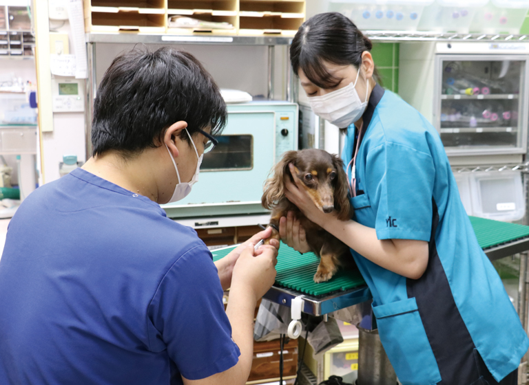 芝動物病院2