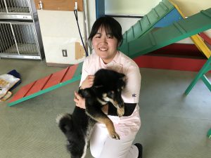 動物　専門学校　京都