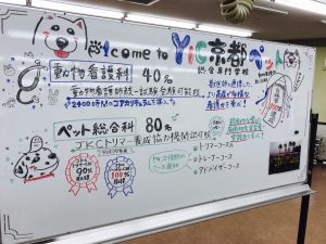 動物　専門学校　京都