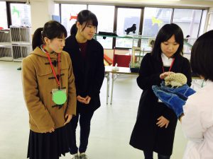 動物　専門学校　京都