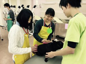 動物　専門学校　京都