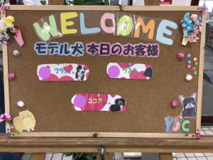 京都　動物　専門学校