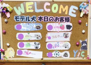 動物　専門学校　京都