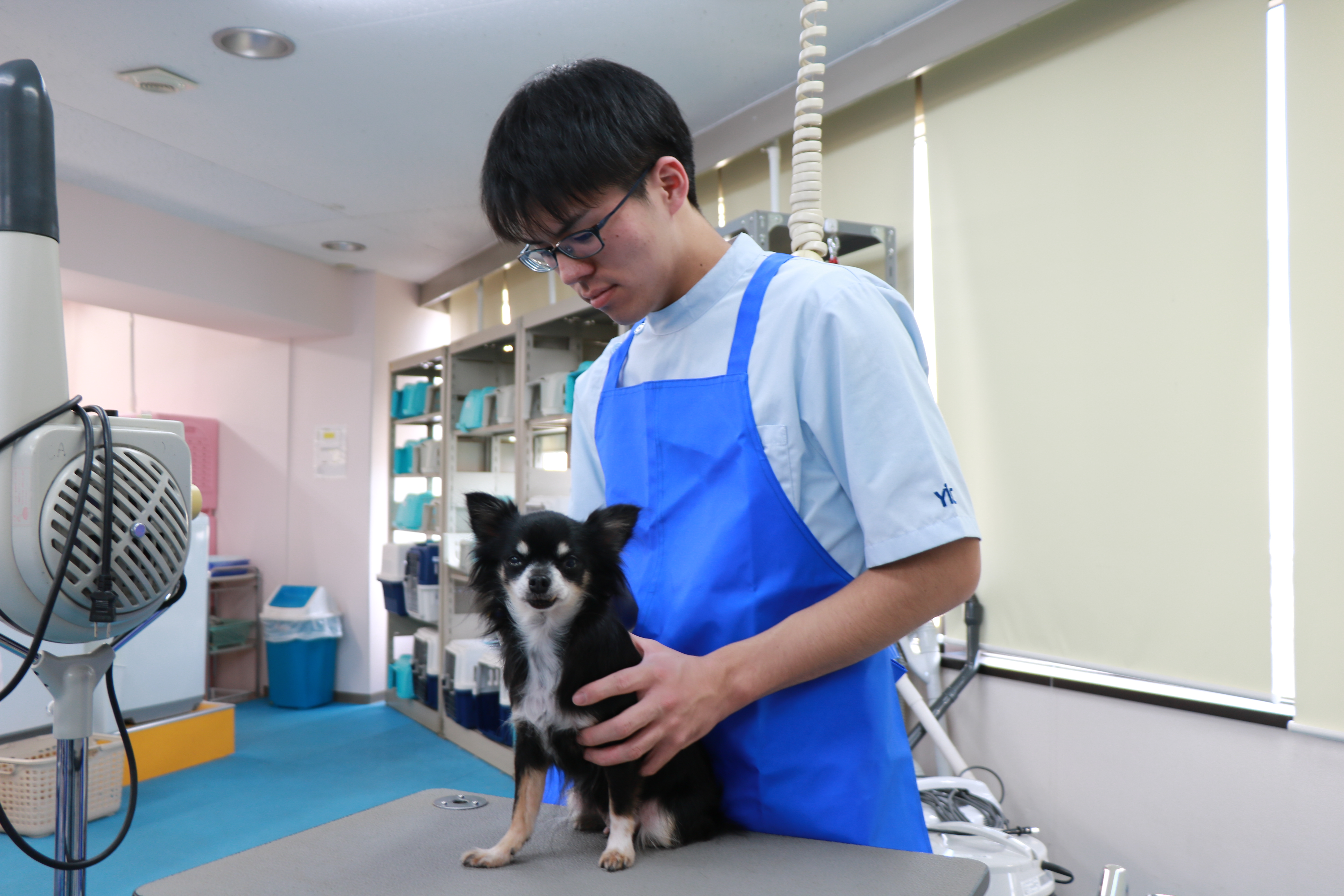 ＜速報＞2018年度動物看護師統一認定試験 全員合格!!｜動物の専門学校 YIC京都ペット総合専門学校