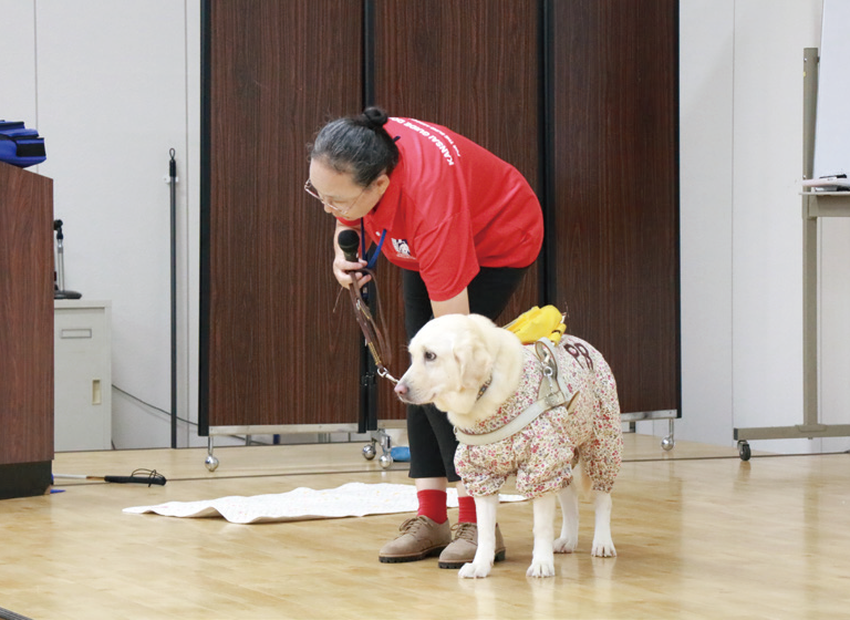 盲導犬センター