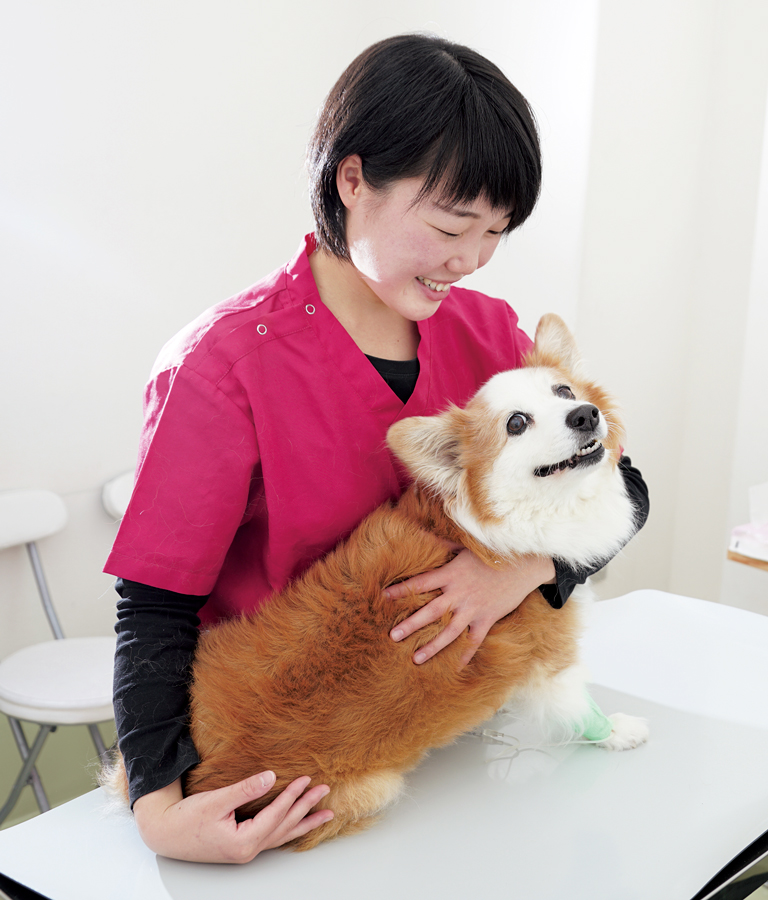 YIC京都ペット総合専門学校 動物看護科 卒業生