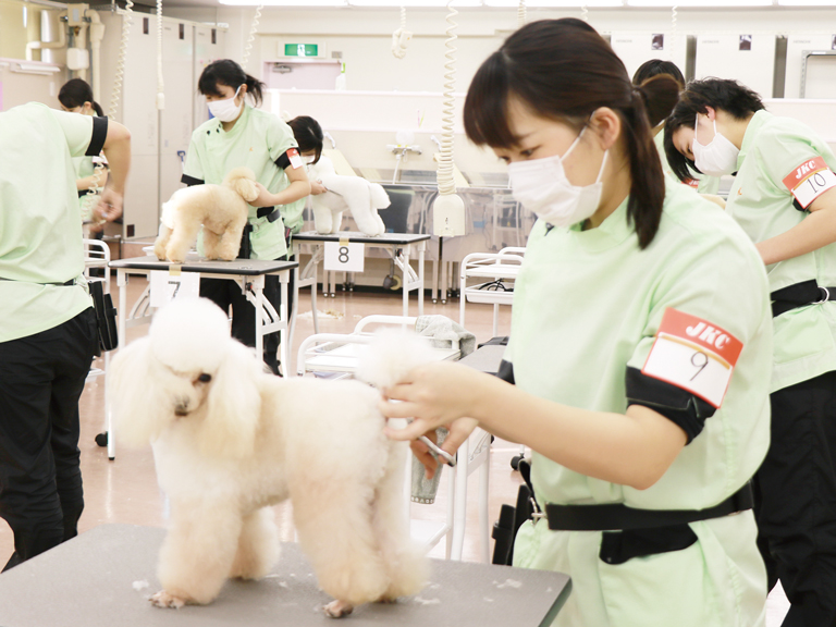 トリマーコース｜ペット総合科 | YIC京都ペット総合専門学校