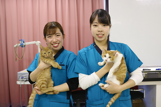 YIC京都の動物専門学校のオープンキャンパスに参加しよう