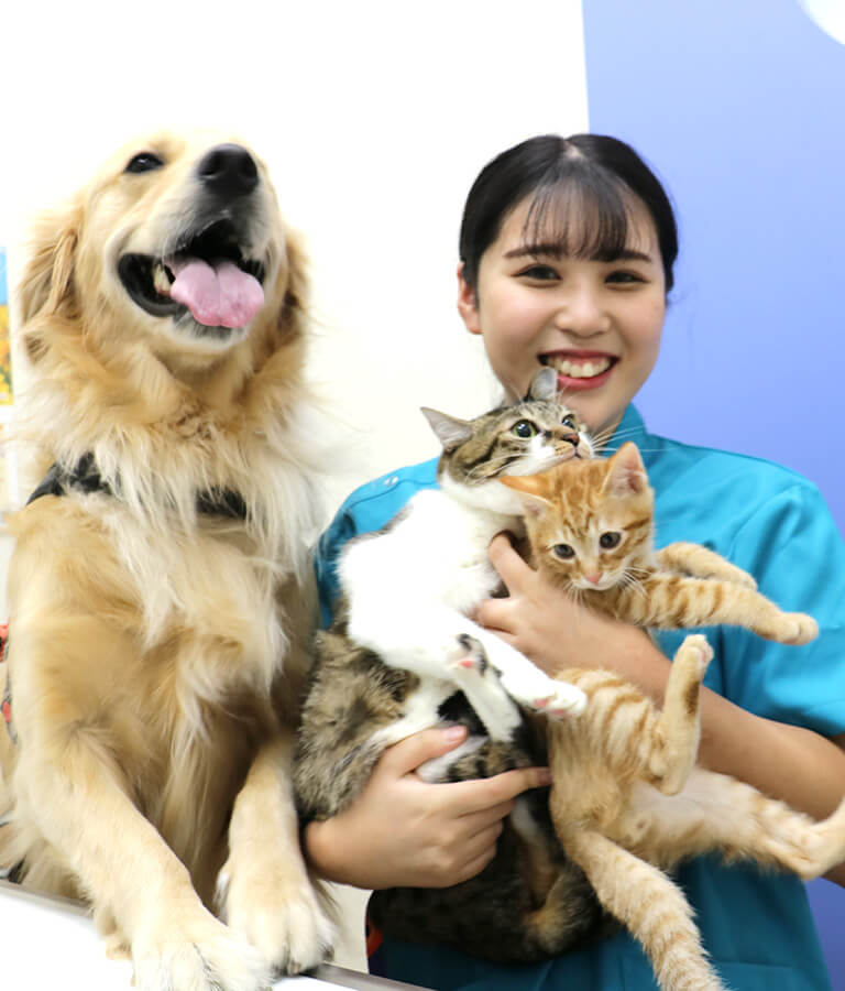 YIC京都ペット総合専門学校 動物看護科 卒業生