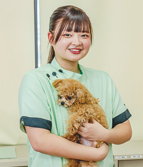 YIC京都ペット総合専門学校 ペット総合科 トリマーコース 卒業生