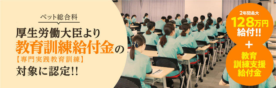 給付金制度について